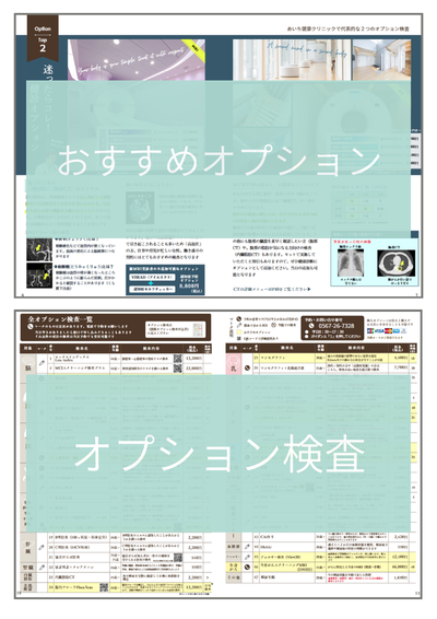 おススメオプションと全オプション一覧